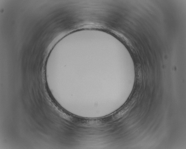 X0000073971375200609181440