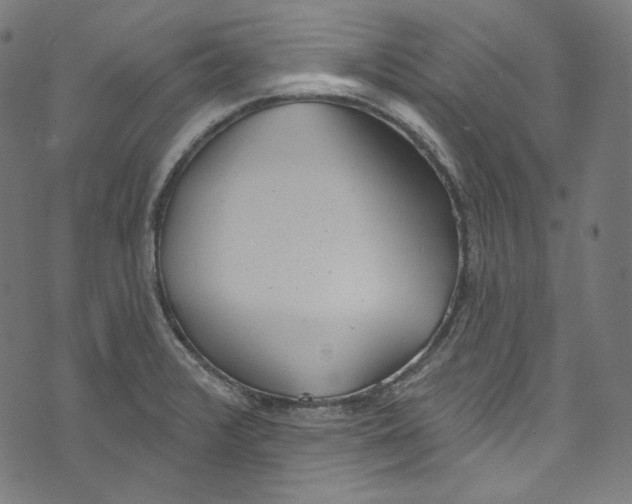 X0000073971376200609181440