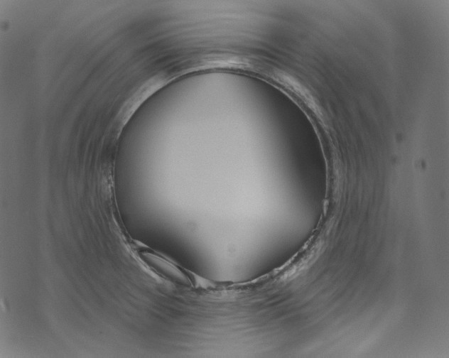 X0000073971377200609181440