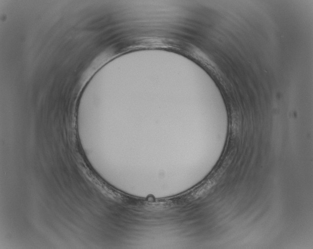 X0000073971378200609181440