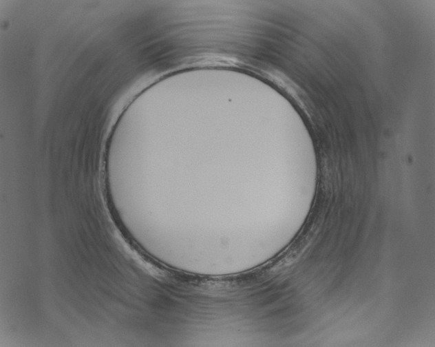 X0000073971379200609181440