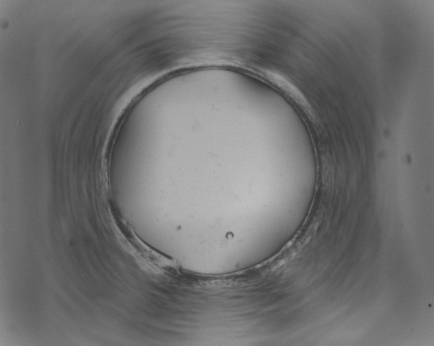 X0000073971380200609181440