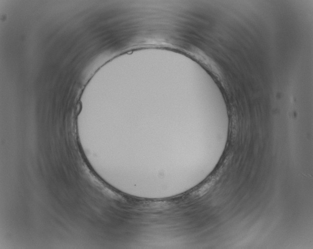 X0000073971382200609181440