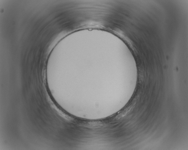 X0000073971383200609181440