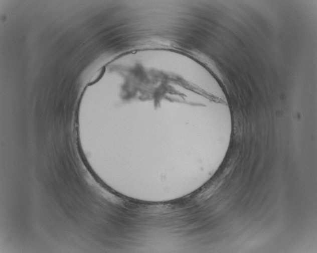 X0000073971387200609181440