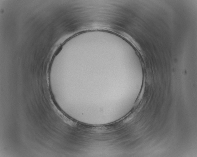 X0000073971388200609181440