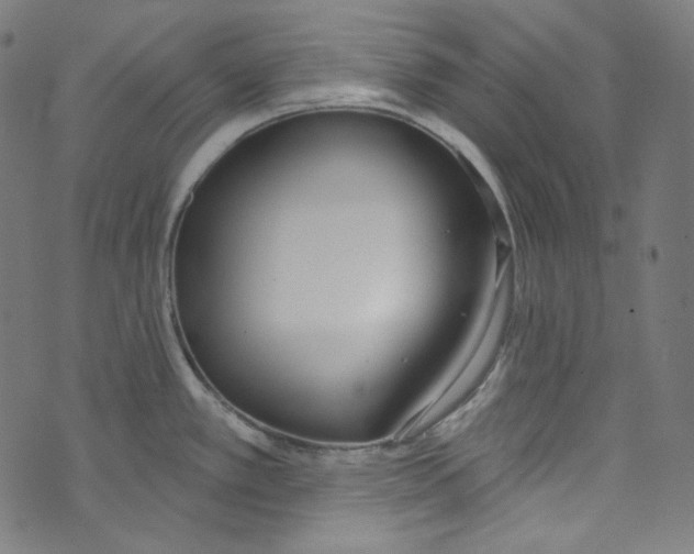 X0000073971389200609181440