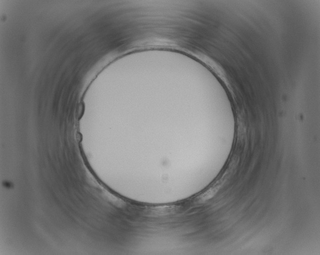 X0000073971390200609181440