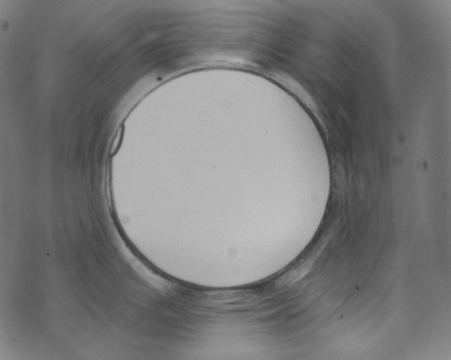 X0000073971391200609181440