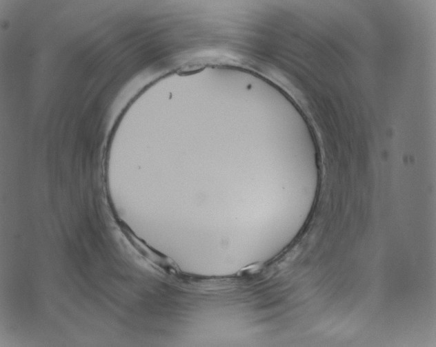 X0000073971392200609181440