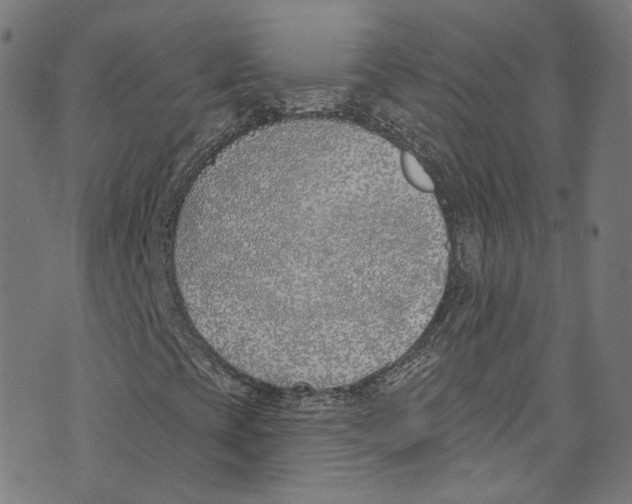 X0000073971393200609181439