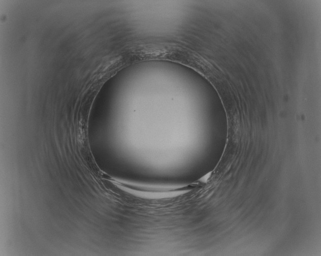 X0000073971394200609181439