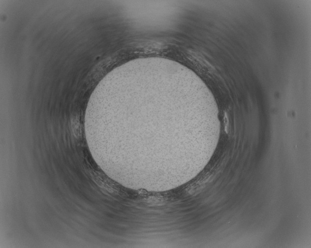 X0000073971395200609181439