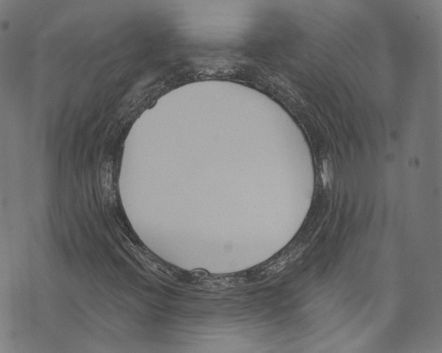 X0000073971396200609181439