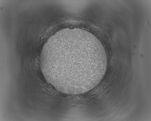 X0000073971397200609181439