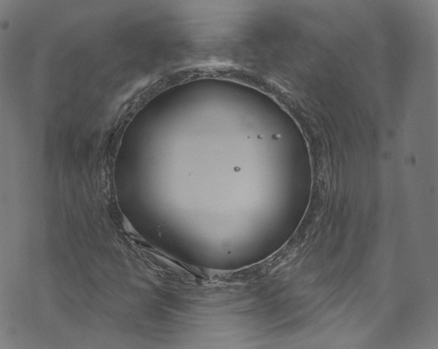 X0000073971398200609181439