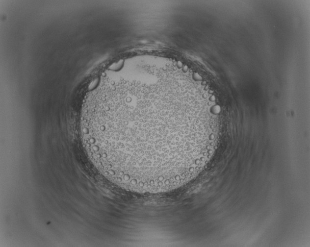 X0000073971399200609181439