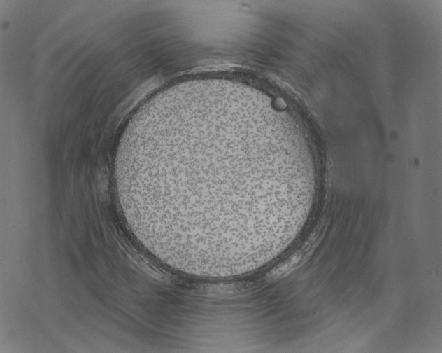 X0000073971401200609181439