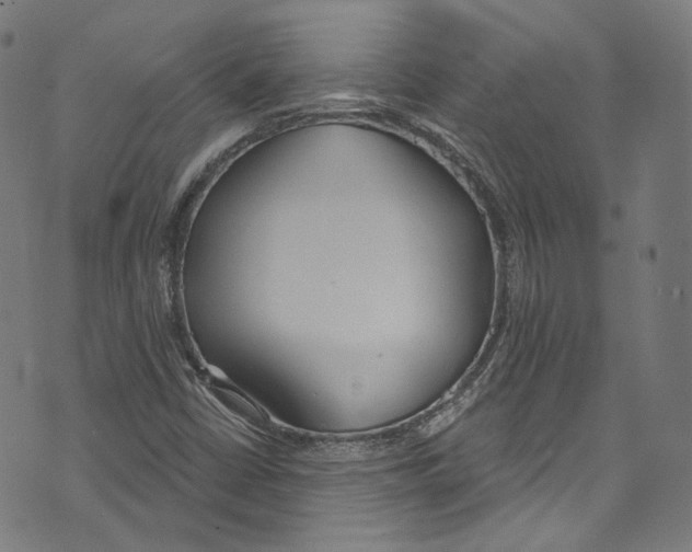 X0000073971402200609181439