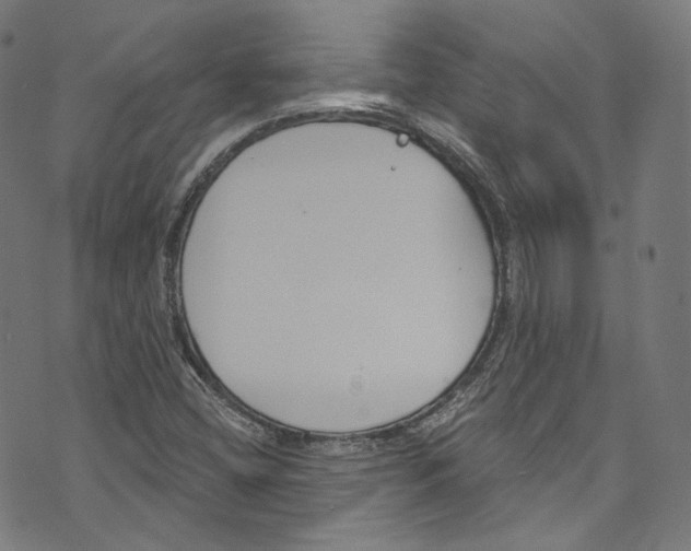 X0000073971404200609181440