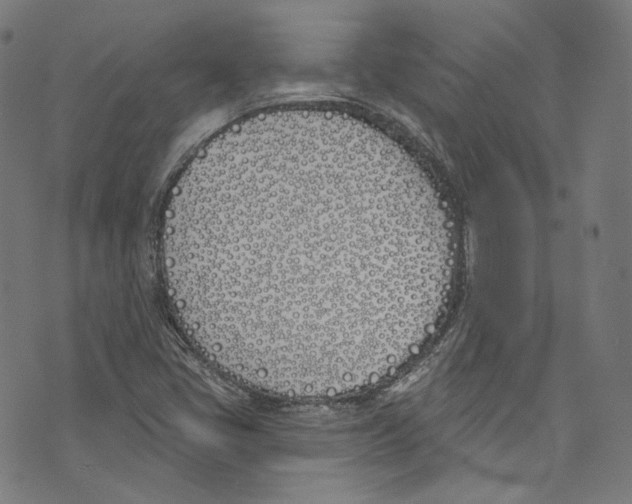 X0000073971405200609181440