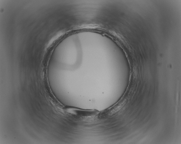 X0000073971406200609181440