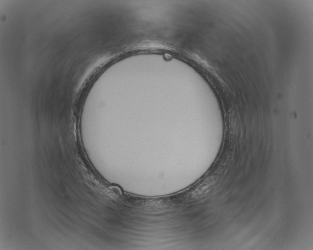 X0000073971408200609181440