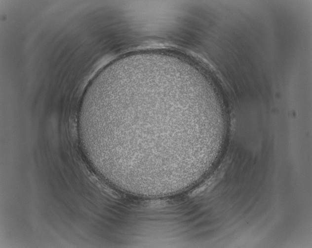 X0000073971409200609181440