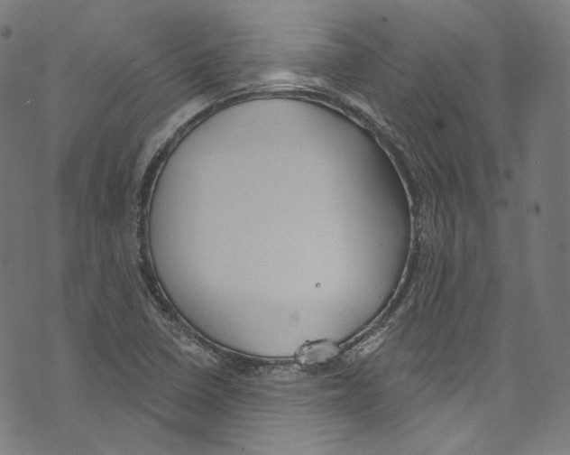 X0000073971410200609181440