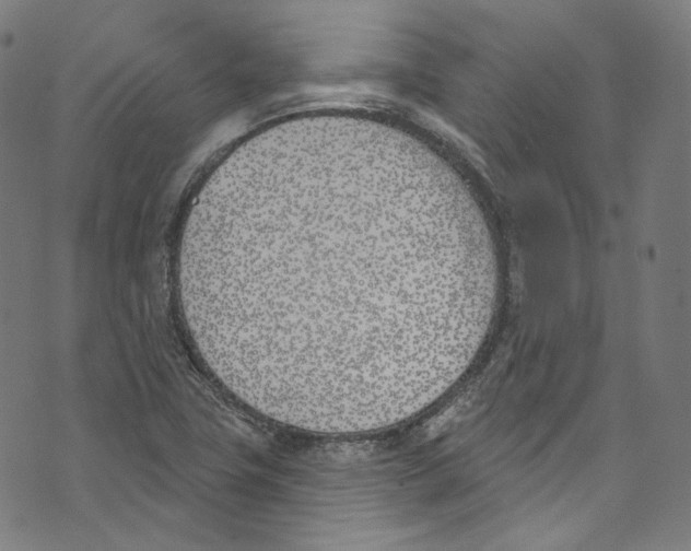 X0000073971411200609181440