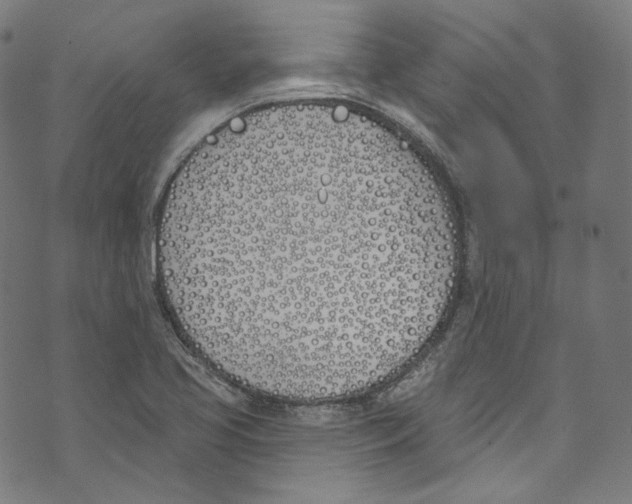 X0000073971413200609181440