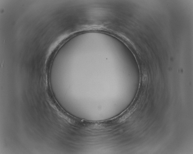 X0000073971414200609181440