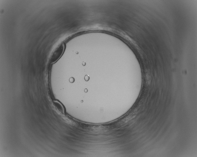 X0000073971416200609181440