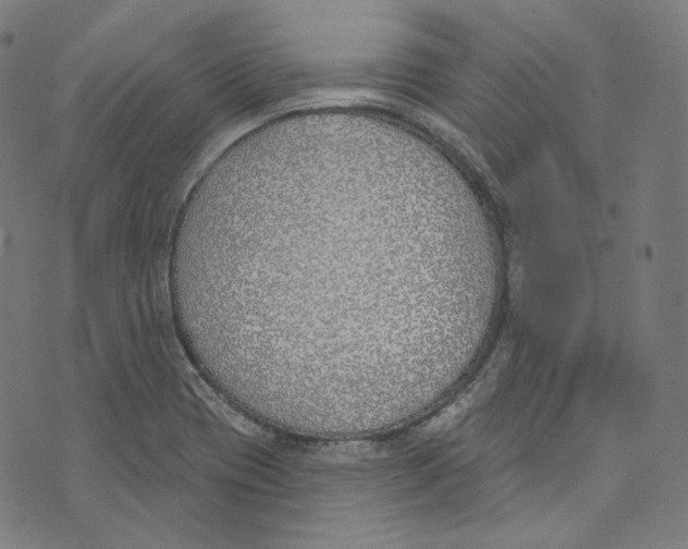 X0000073971417200609181440