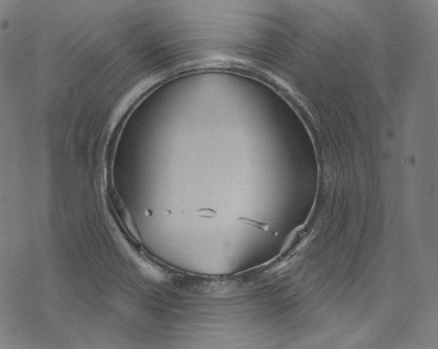 X0000073971418200609181440