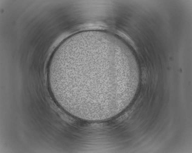 X0000073971419200609181440