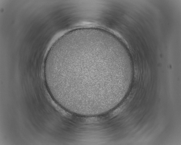 X0000073971421200609181440