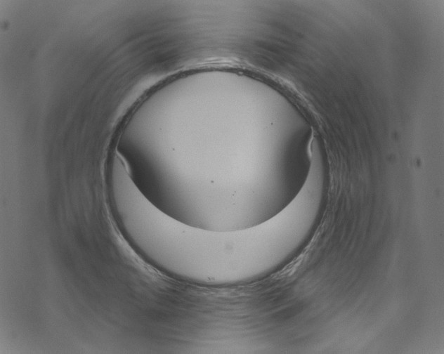 X0000073971422200609181440