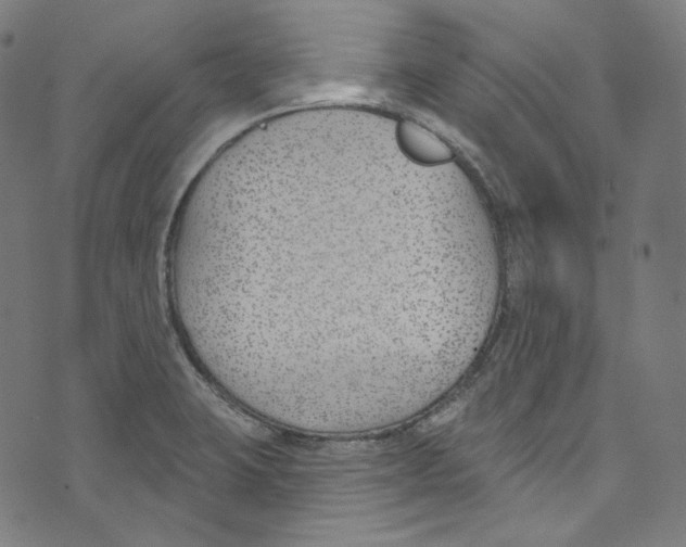 X0000073971423200609181440