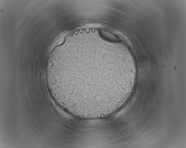 X0000073971425200609181440