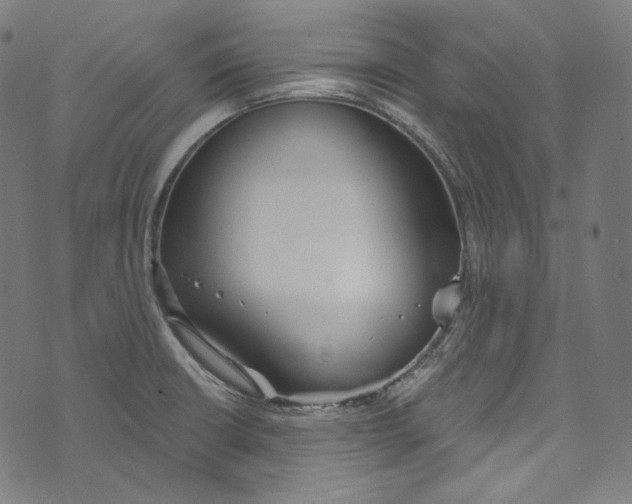 X0000073971426200609181440