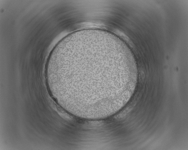 X0000073971427200609181440