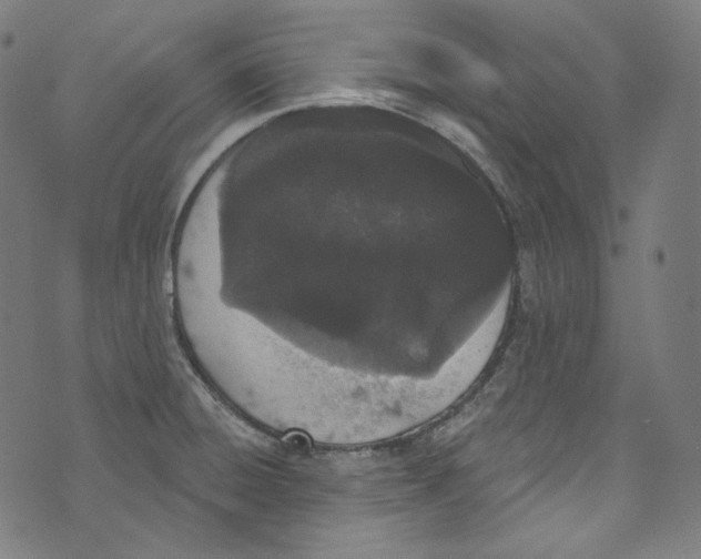 X0000073971428200609181440