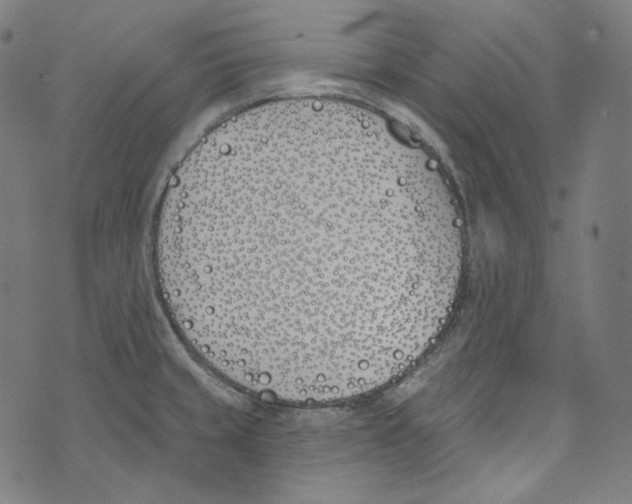 X0000073971429200609181440