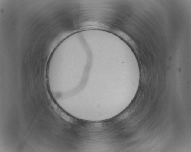 X0000073971431200609181440