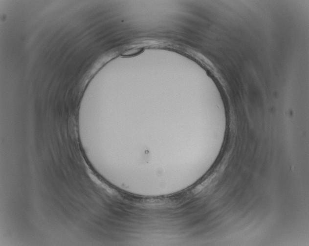 X0000073971433200609181440