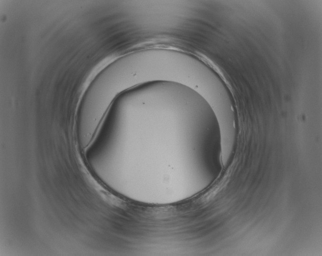 X0000073971434200609181440