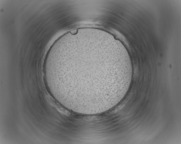 X0000073971435200609181440