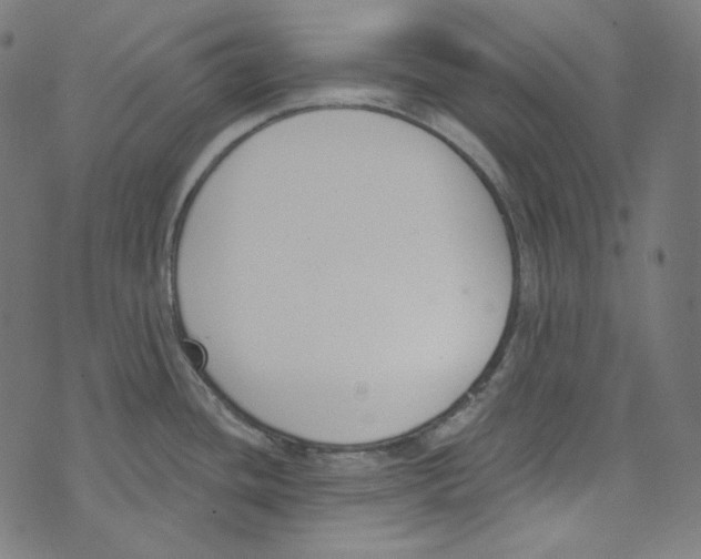 X0000073971436200609181440