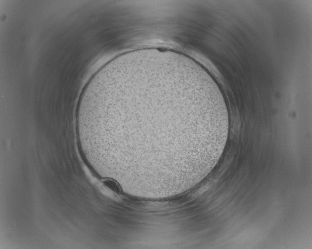 X0000073971439200609181440